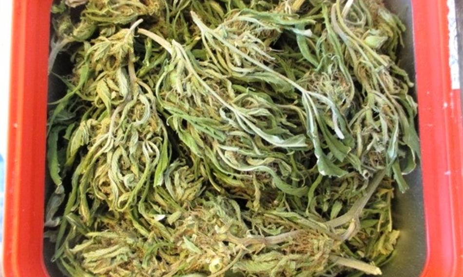 2019-1-14-827foto 1 drogy.jpg